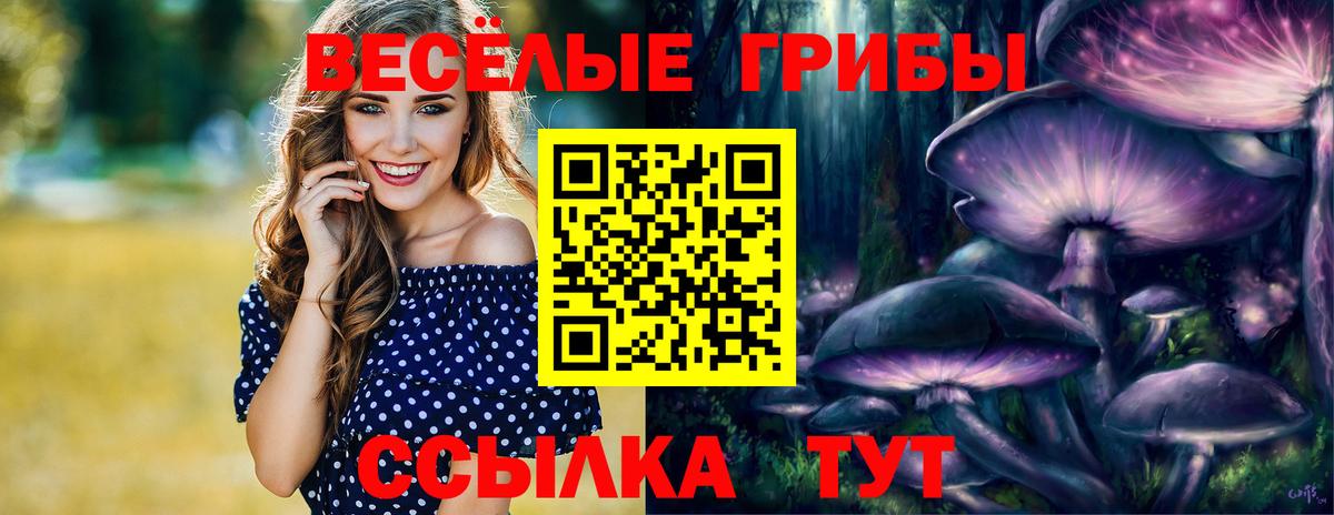 Гашиш  Codein  Меф МЯУ МЯУ кристаллы  КОКАИН  Вход с VPN  Бошки Шишки  Корсаков  A PVP СК кристаллы 