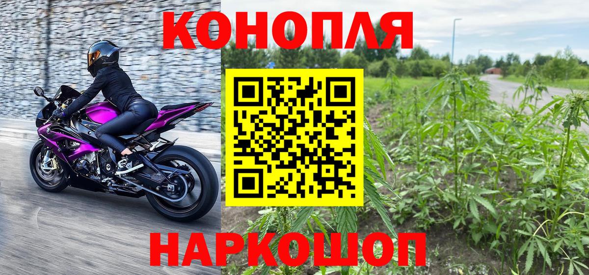 Корсаков  Бошки Шишки LSD WEED  Вход с VPN  Канабис планчик  Каннабис SATIVA & INDICA  Шишки марихуана OG Kush 